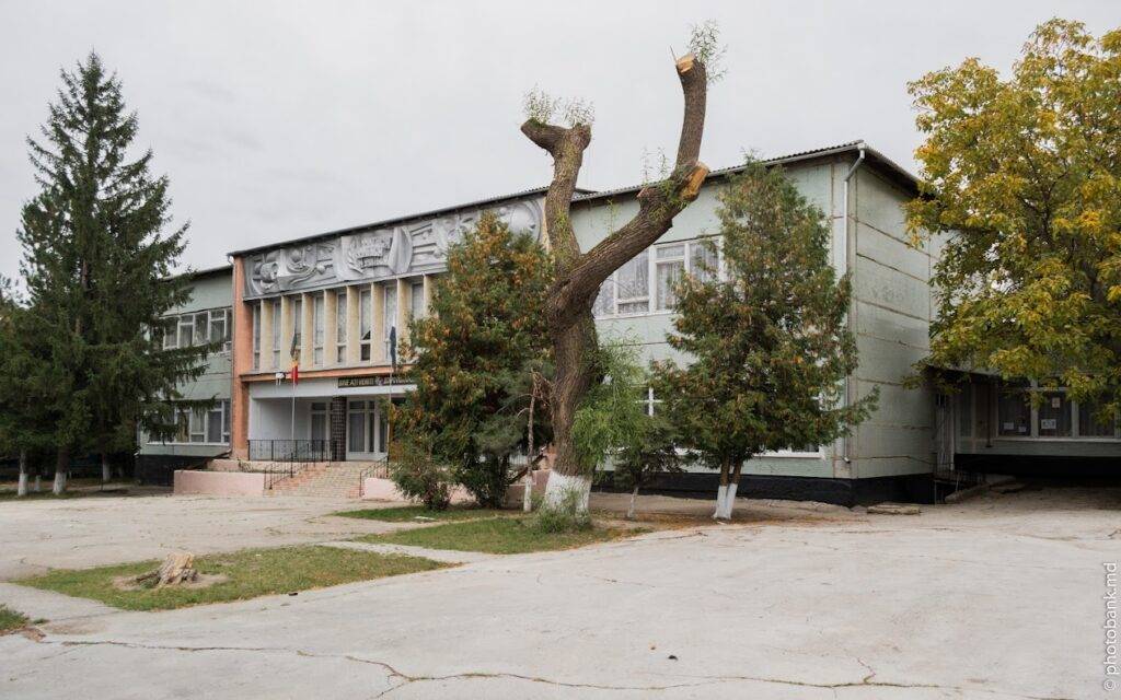 Гимназия № 14